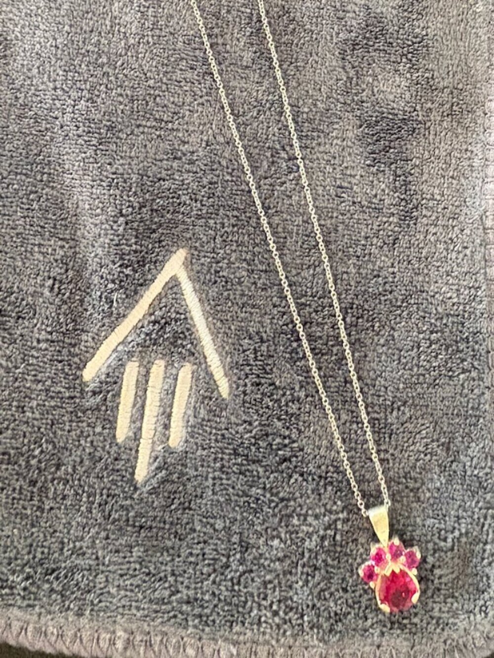 Greater Good Paw Print Necklace – Meaningful Animal Lover Statement Piece